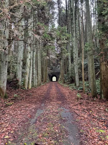森の奥のトンネル