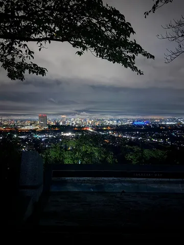 夜景と木陰の静かな広がり