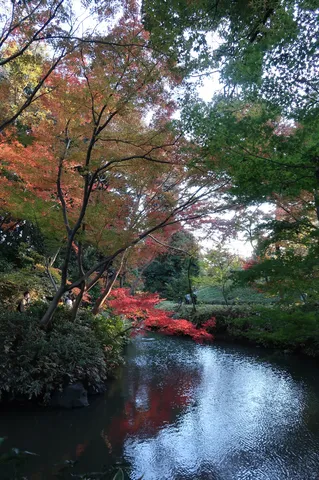 紅葉と水面が織りなす秋景
