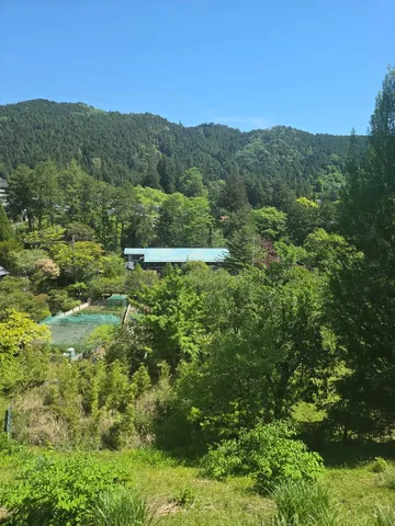 緑深まる山間の家