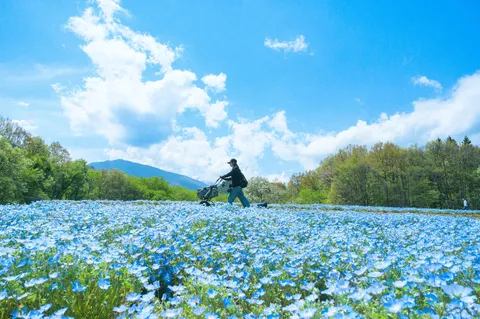 青の世界を歩く