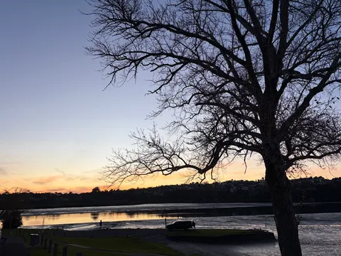 静かな夕暮れの木影
