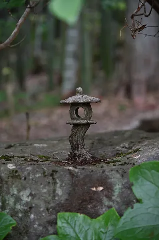 苔むす灯籠、静寂の庭