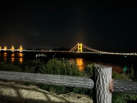 夜景に浮かぶ光の道