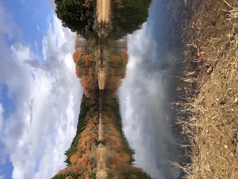 ゆらゆら水面に映る秋景色