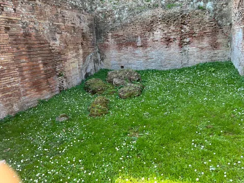 石と草花の古の風景