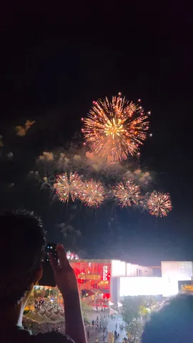 夜空を彩る光の芸術