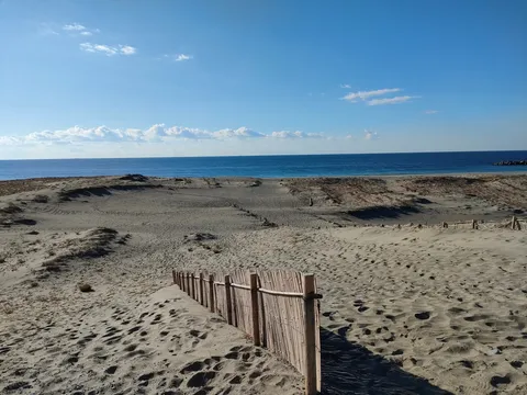砂丘の小径、海へと続く道