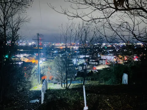 灯火が誘う、夜景と木々のコントラスト