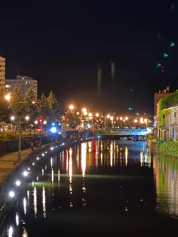 夜の水辺に映る光の芸術