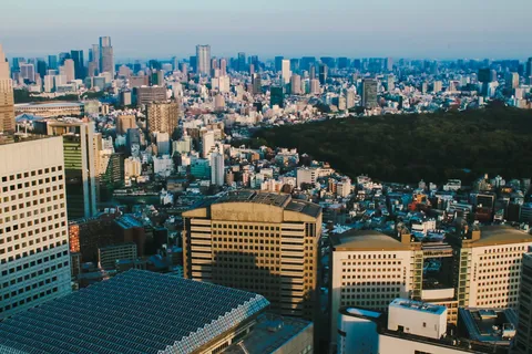 今日のビル群も、きっちり整列！