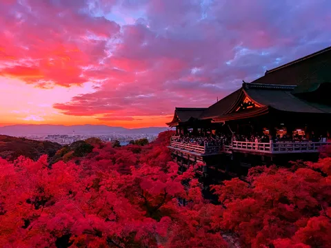 茜色の空、錦秋の舞台