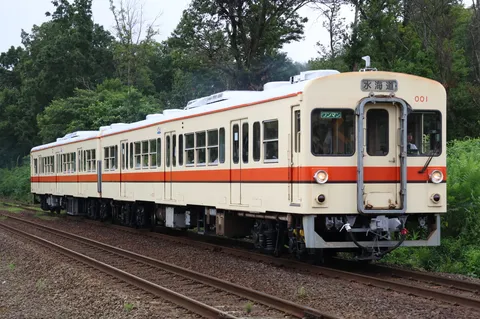 緑に包まれた、懐かしき車両