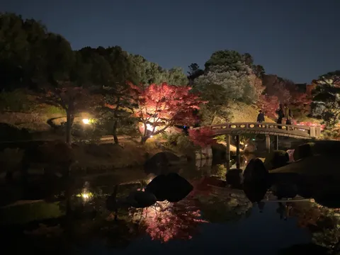 夜空に映える紅葉と橋