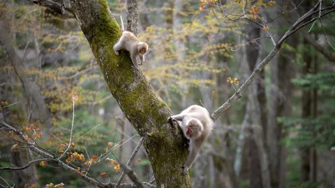 ねぇ、こっち見てるよ！