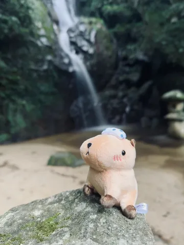 滝を眺めるカピバラさん