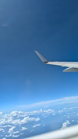 雲海と翼、空の旅路