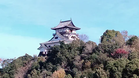緑に佇む古城の趣