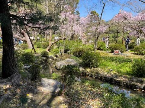 花咲く庭の静かな流れ