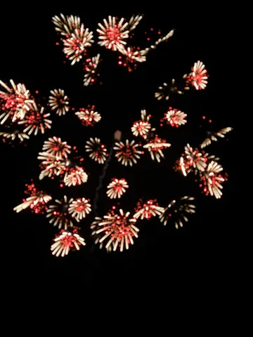 夜空に咲く花火の群像