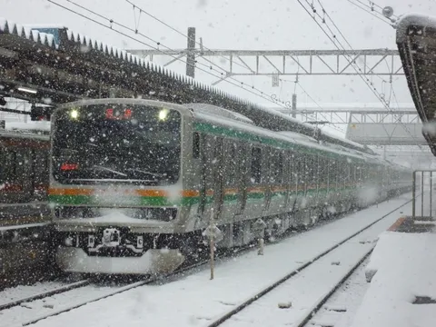 雪原を疾走する銀色の流星