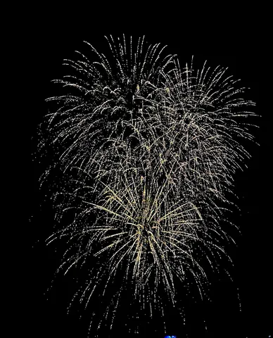 夜空に咲く華麗なる光の芸術