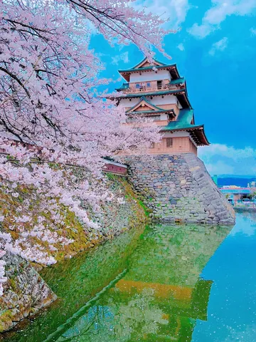 桜越しの水城
