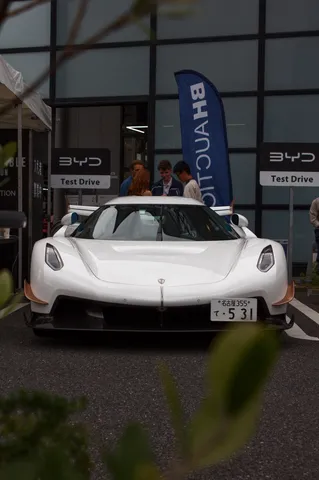 未来を予感させる白い翼
