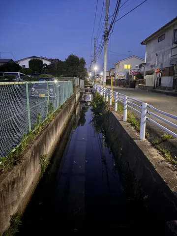 水路に映る、宵の静けさ
