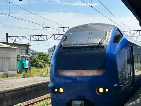 青い流線形と緑の旧型車両
