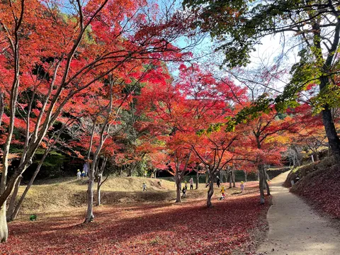 紅葉舞う、小さな冒険者たち