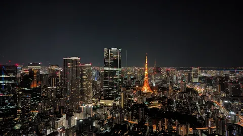 光あふれる大都会の夜景