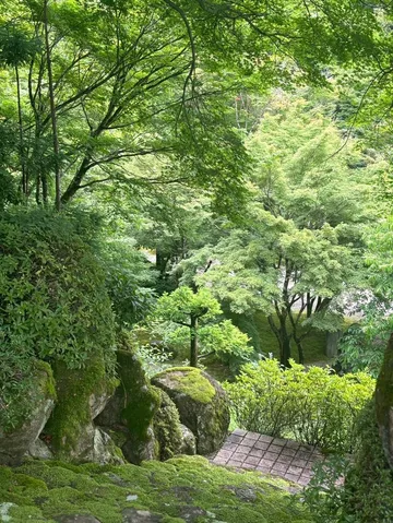 緑深まる苔と岩、静寂の小道