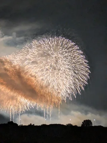 夜空に咲いた光の花