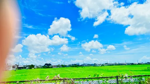 抜けるような青空と緑の絨毯