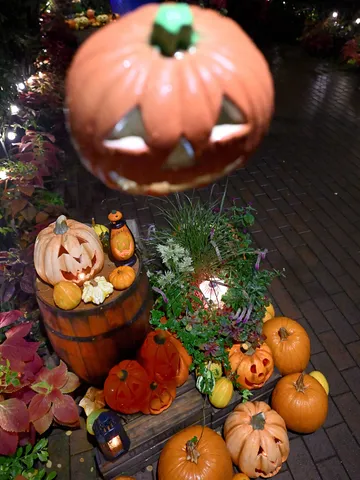 秋の夜を照らすかぼちゃの灯
