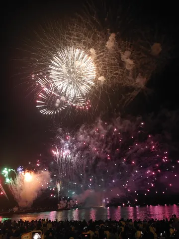 夜空に咲く光の華