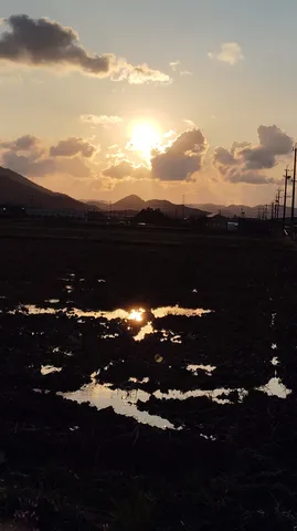 夕陽に照らされる水たまりのコントラスト