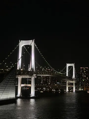 夜を彩る光の橋