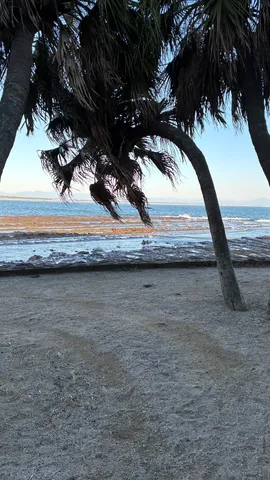 風と影が運ぶ海の気配