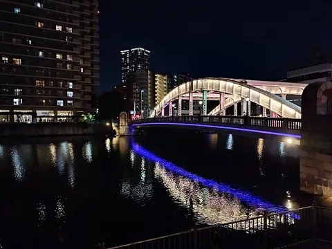 夜景を彩る光の橋