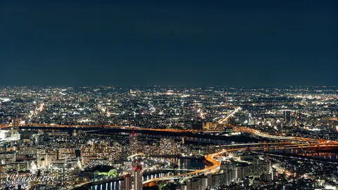煌めく夜景、光の迷宮