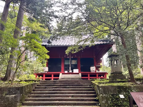 森の赤い祠と階段の影