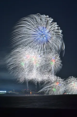 夜空を彩る大輪の花