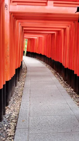 光へ誘う朱の参道