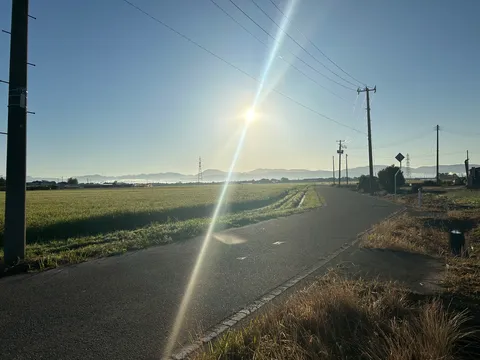 光の斜光が走る田園道