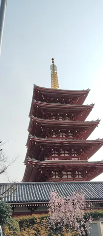 新緑に映える五重塔