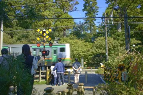 新緑と電車の一瞬