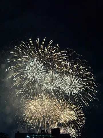 夜空を彩る光の芸術
