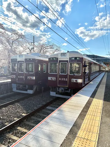 春を運ぶ、桜と電車の共演
